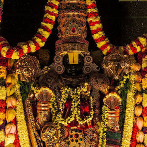 Meet your Posher, Radha